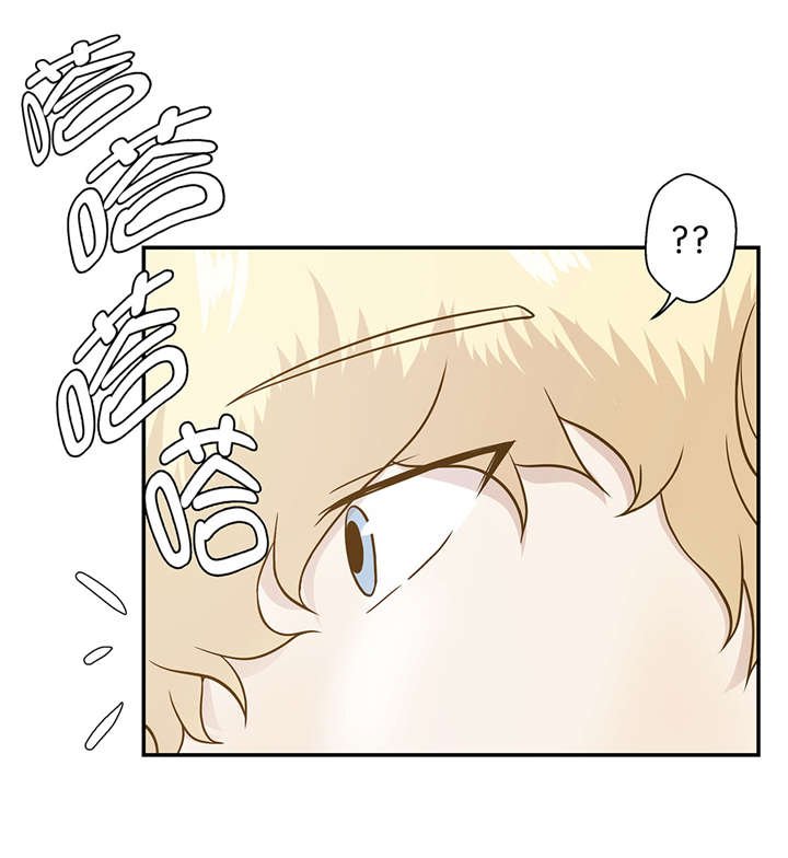 第13章：惹事猪