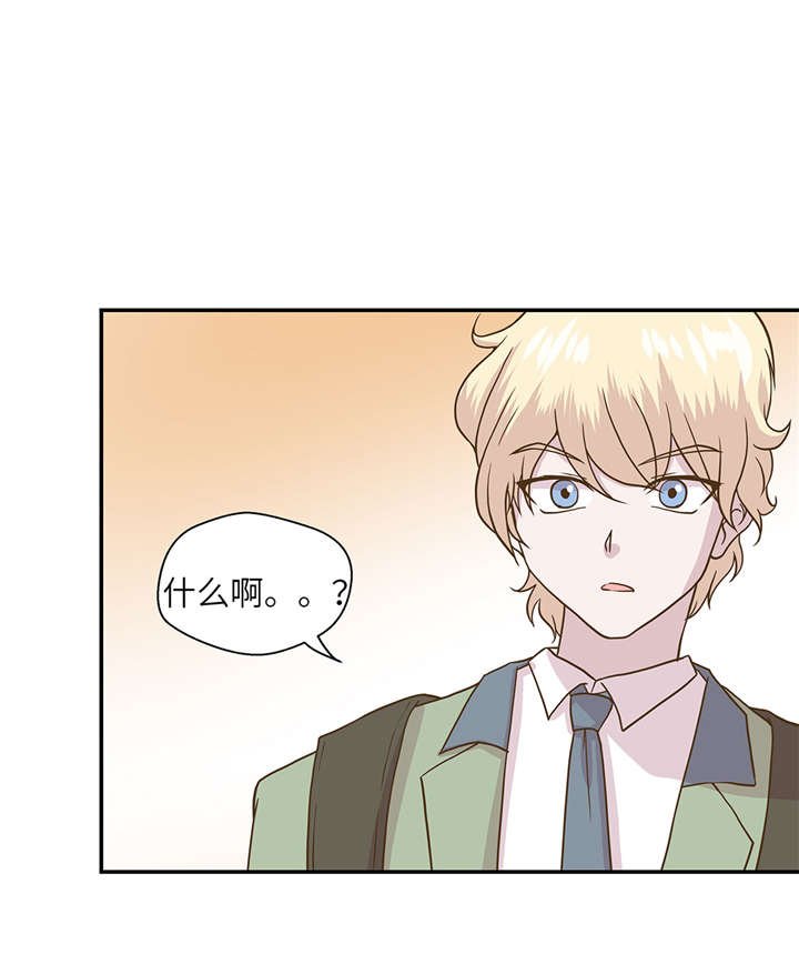 第13章：惹事猪