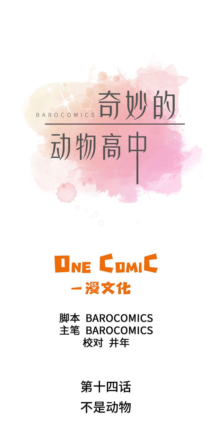第14章：不是动物