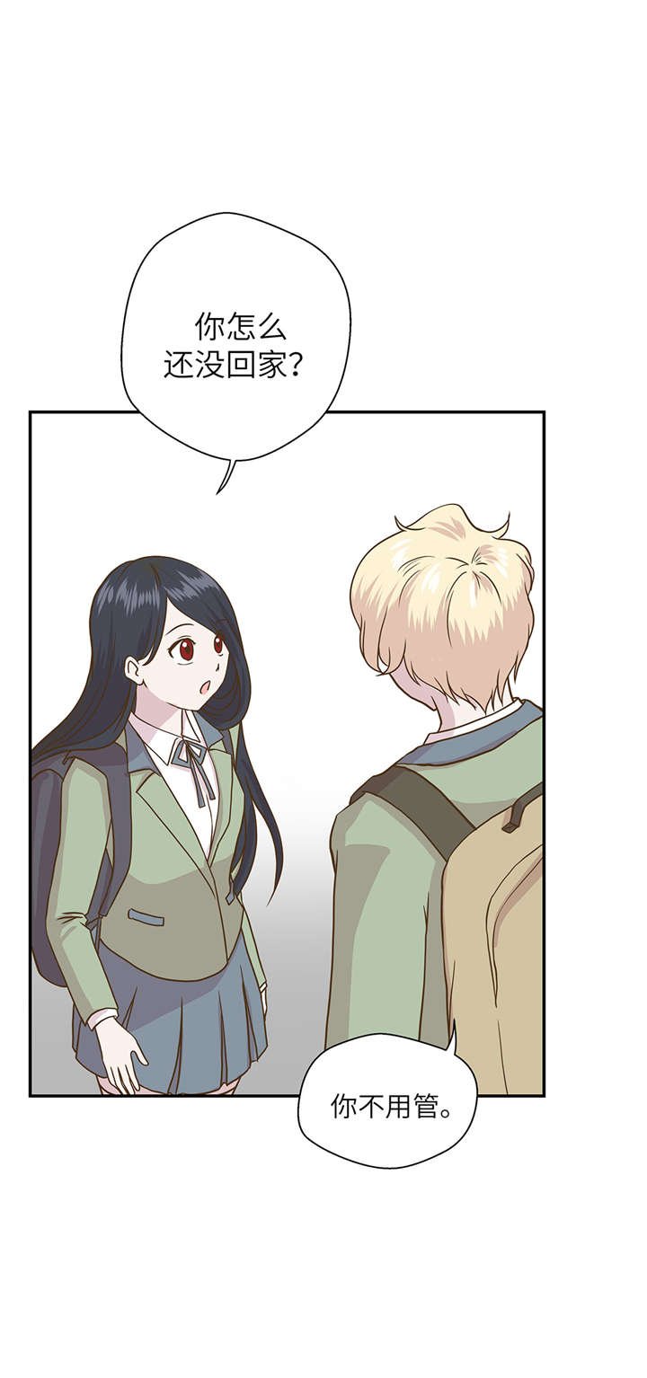 第14章：不是动物