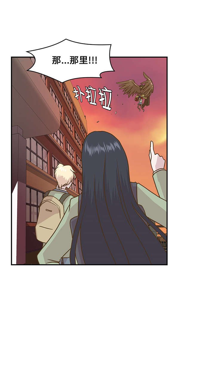 第14章：不是动物