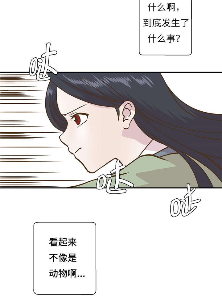 第14章：不是动物