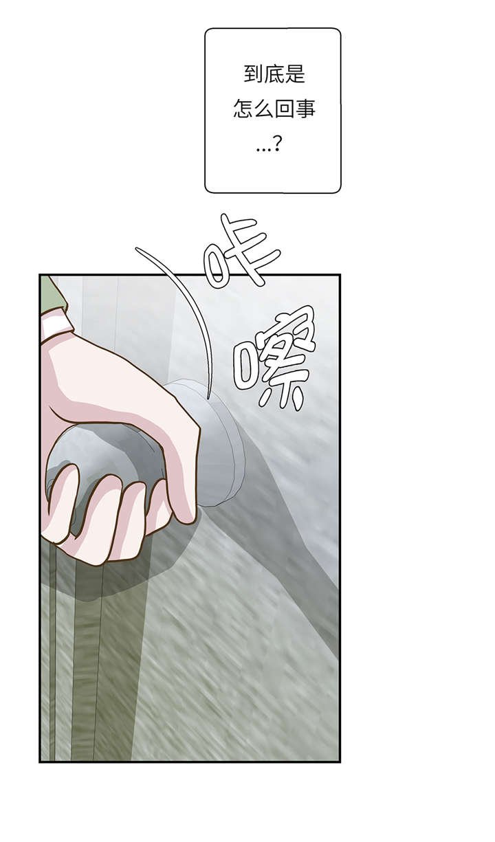 第14章：不是动物
