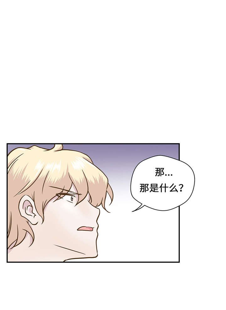 第14章：不是动物