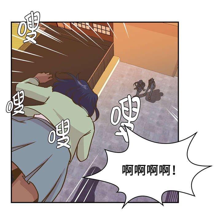 第14章：不是动物