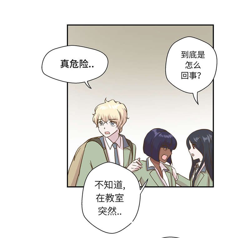 第14章：不是动物