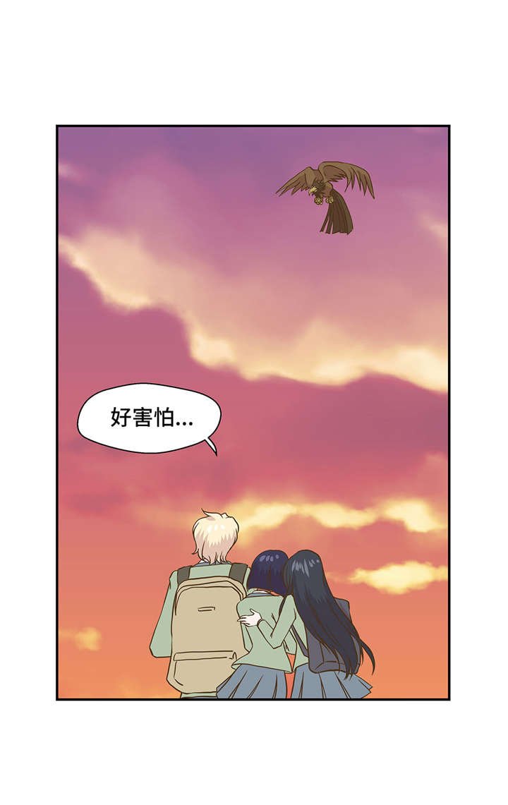第14章：不是动物