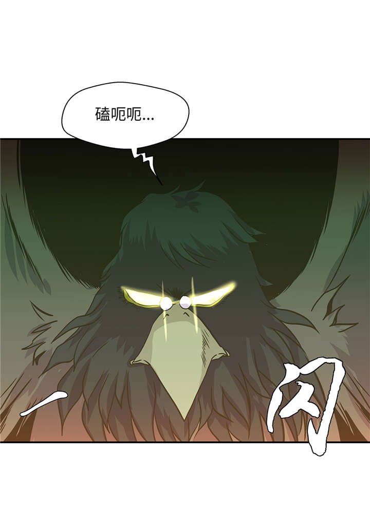 第14章：不是动物
