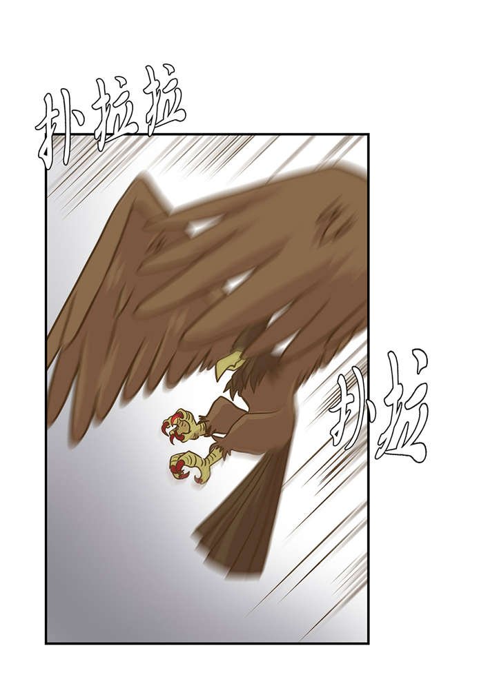 第14章：不是动物