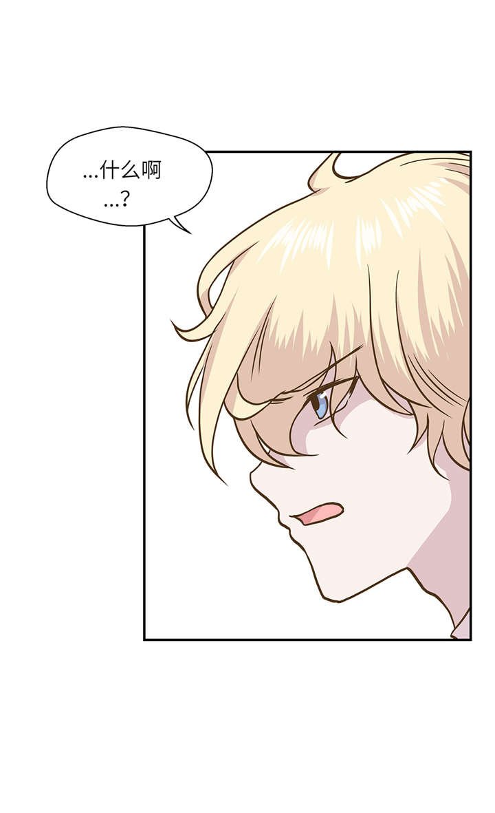 第14章：不是动物
