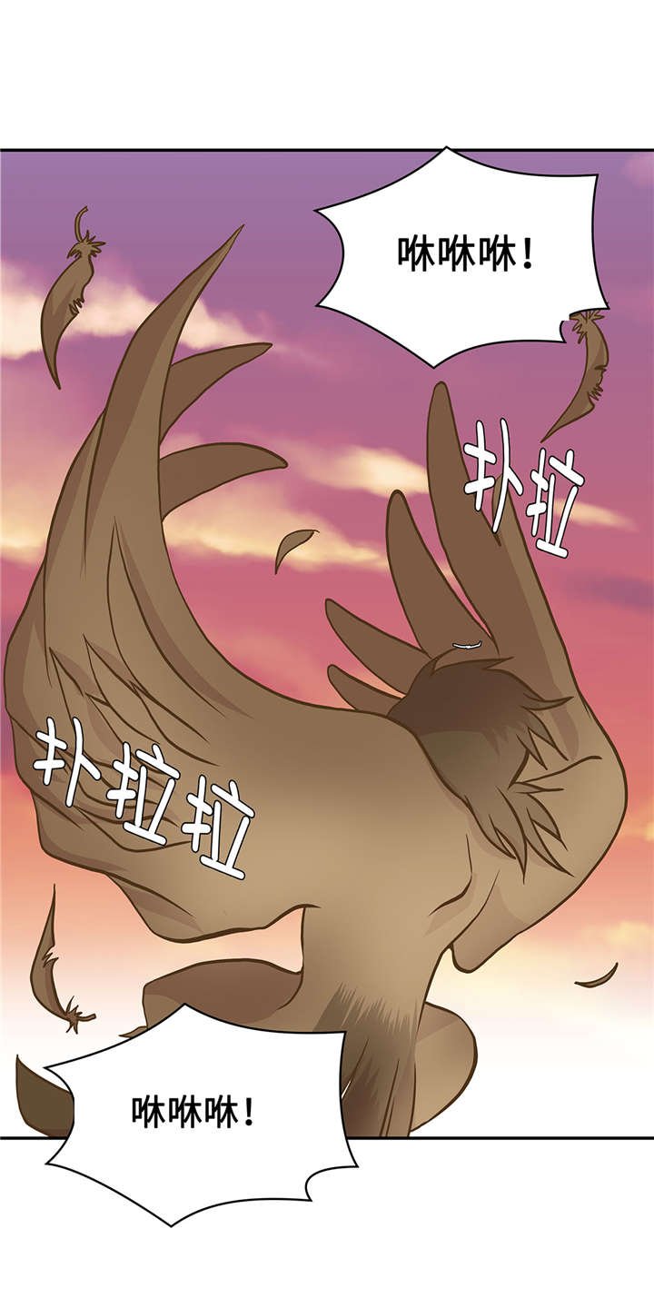 第15章：什么都做不了