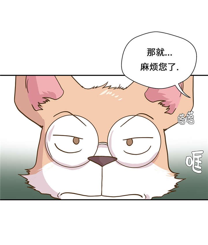 第16章：狮子莱昂