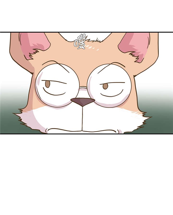 第16章：狮子莱昂