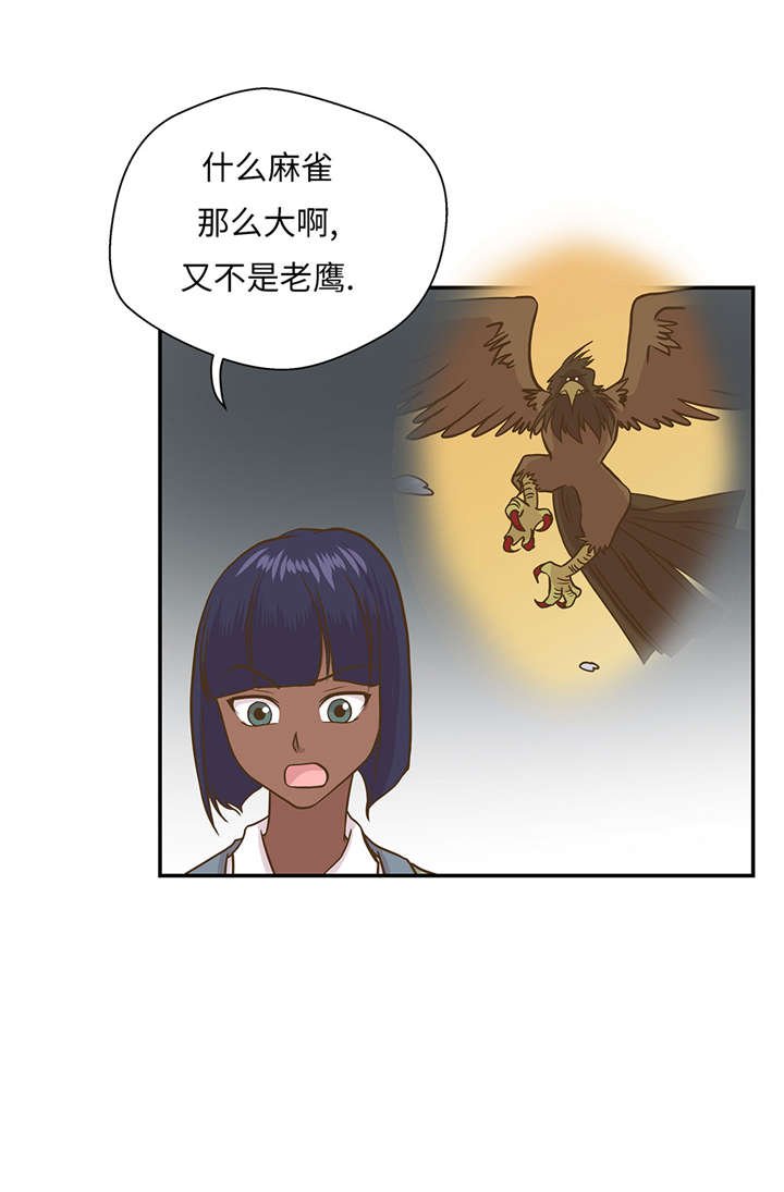 第16章：狮子莱昂