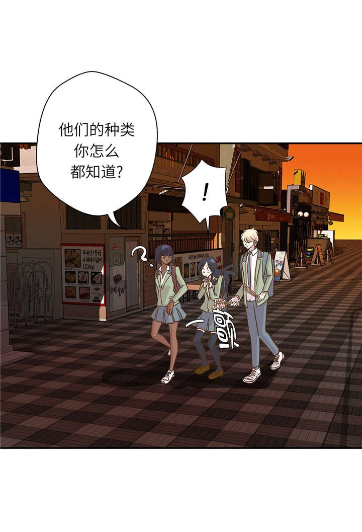 第16章：狮子莱昂