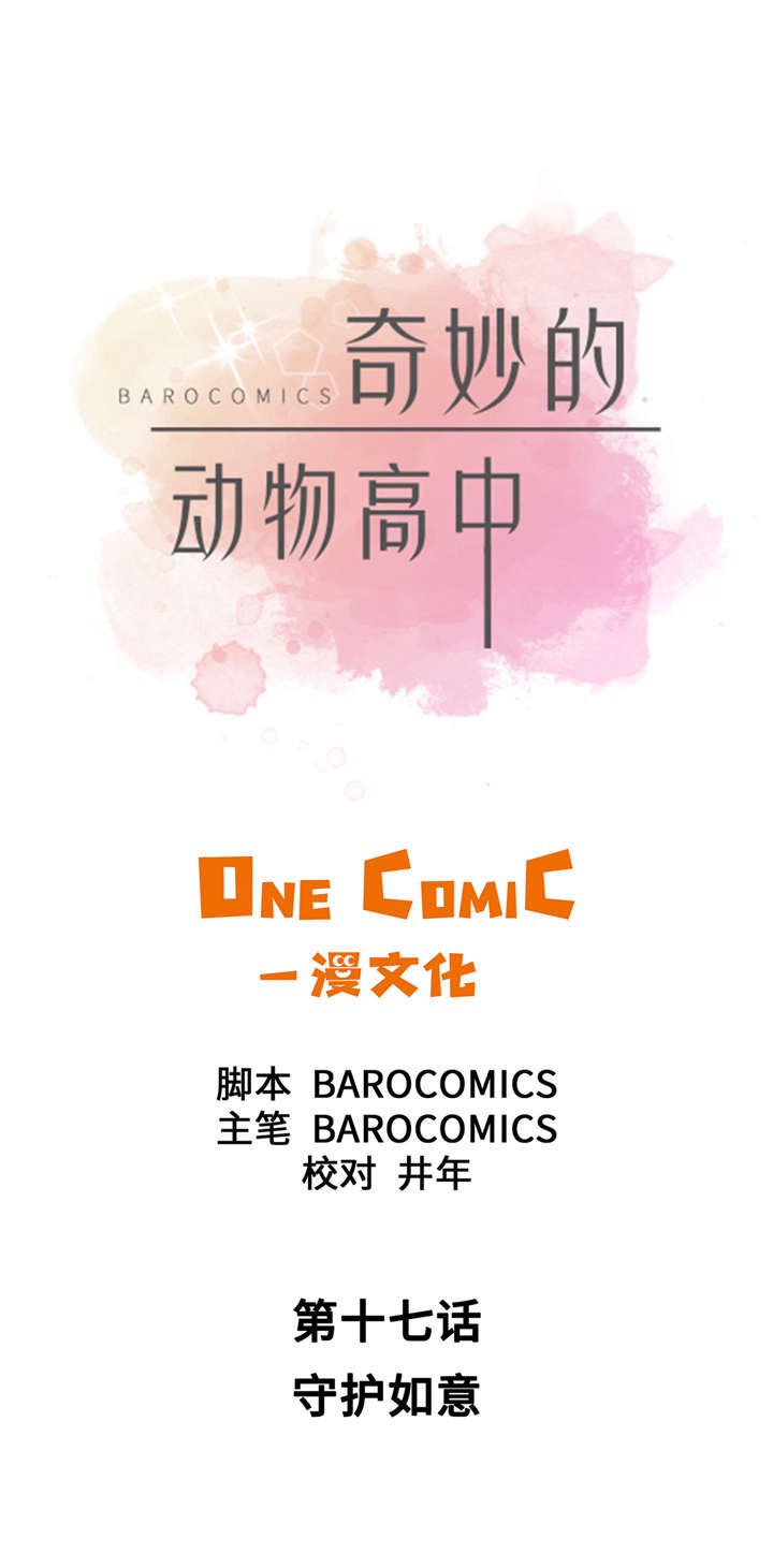 第17章：守护如意