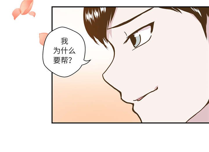 第17章：守护如意