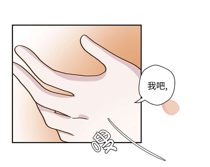 第17章：守护如意