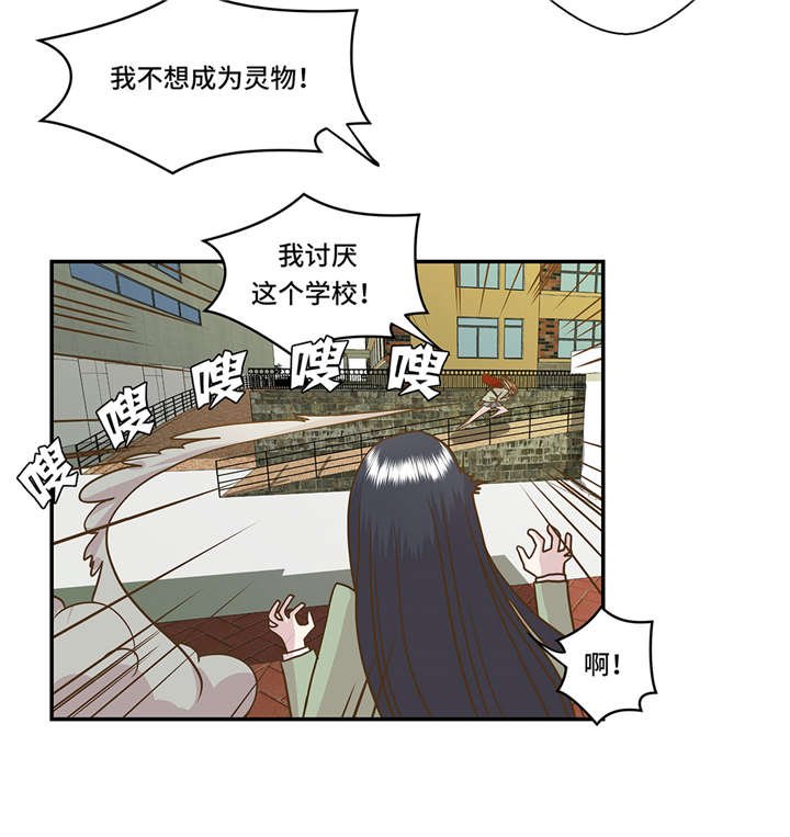 第2章：偶遇（上）