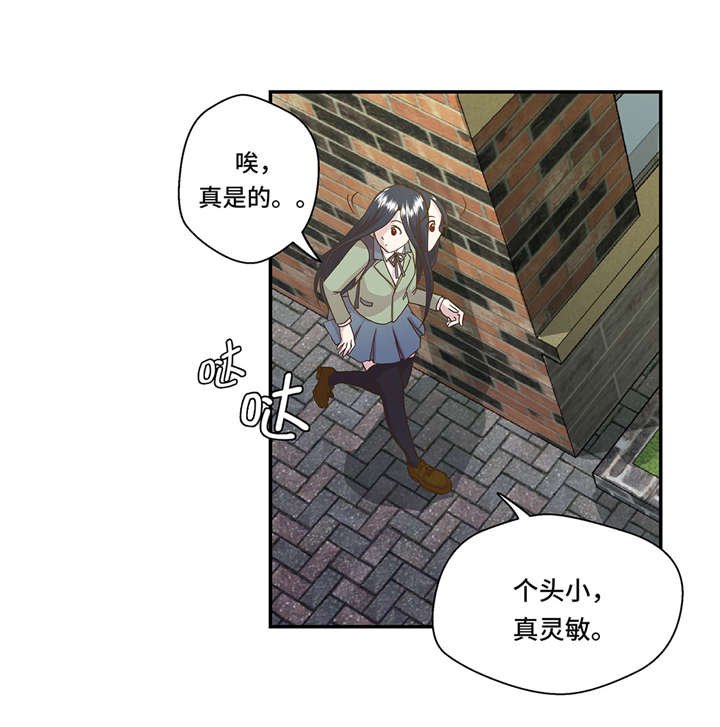 第2章：偶遇（上）