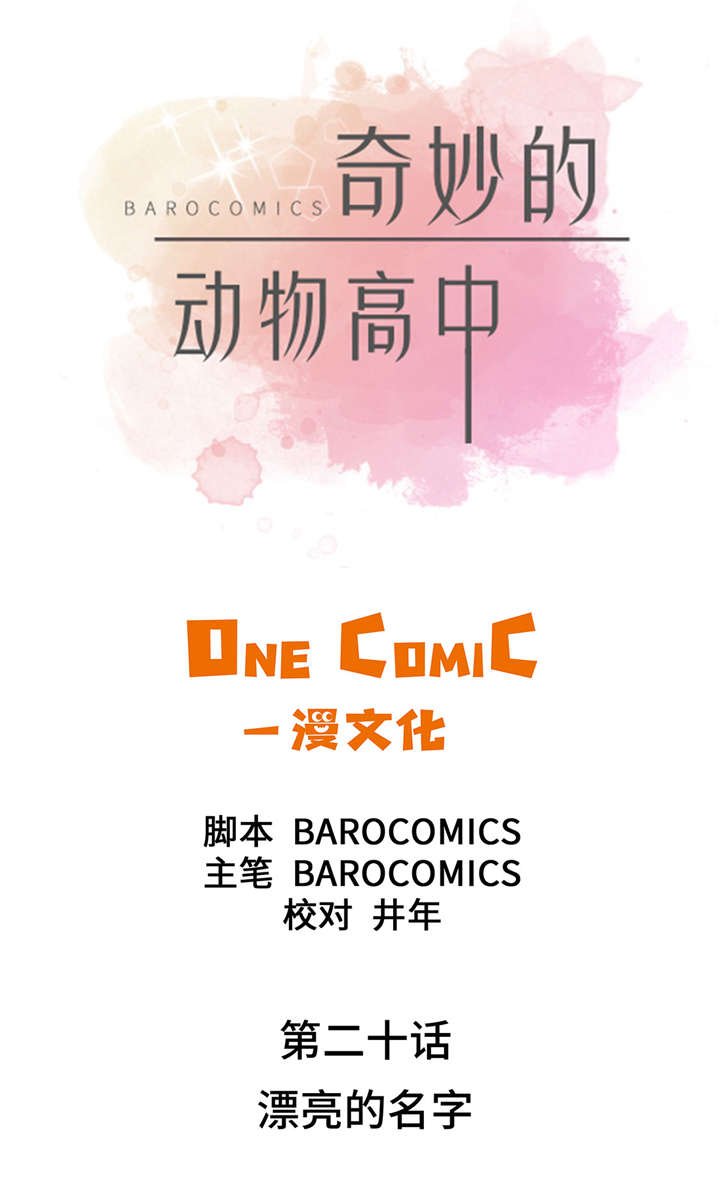 第20章：漂亮的名字