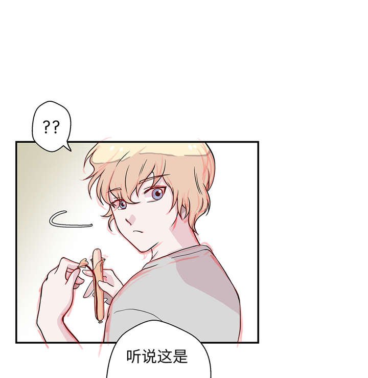 第20章：漂亮的名字