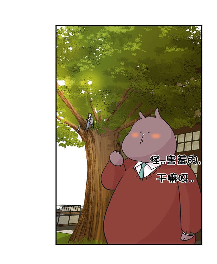 第20章：漂亮的名字