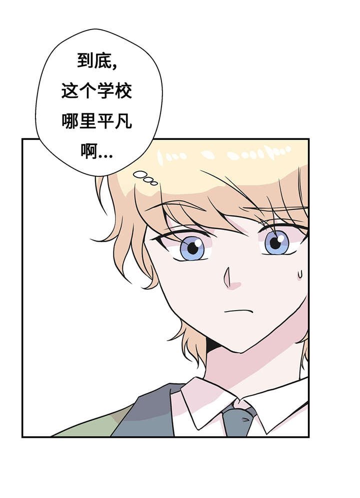 第20章：漂亮的名字