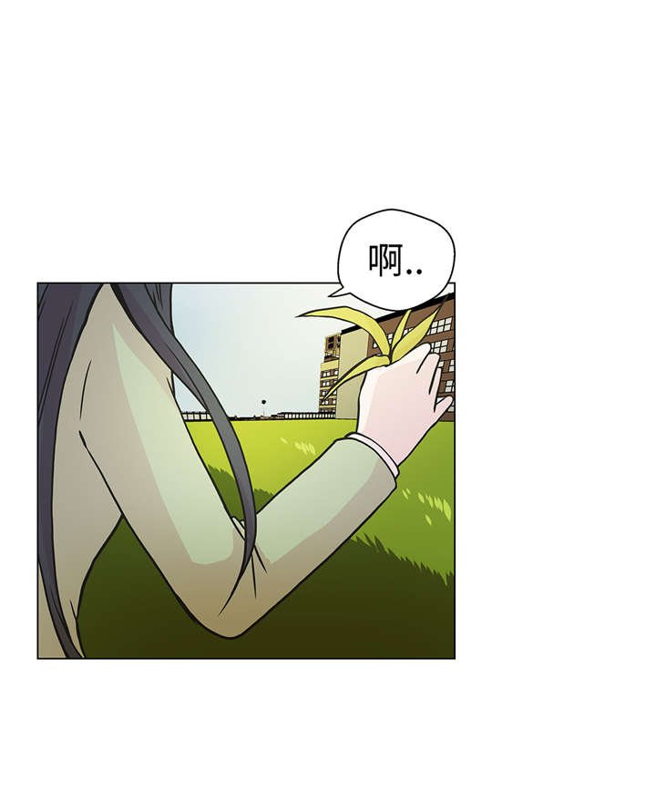 第24章：奇怪的感觉