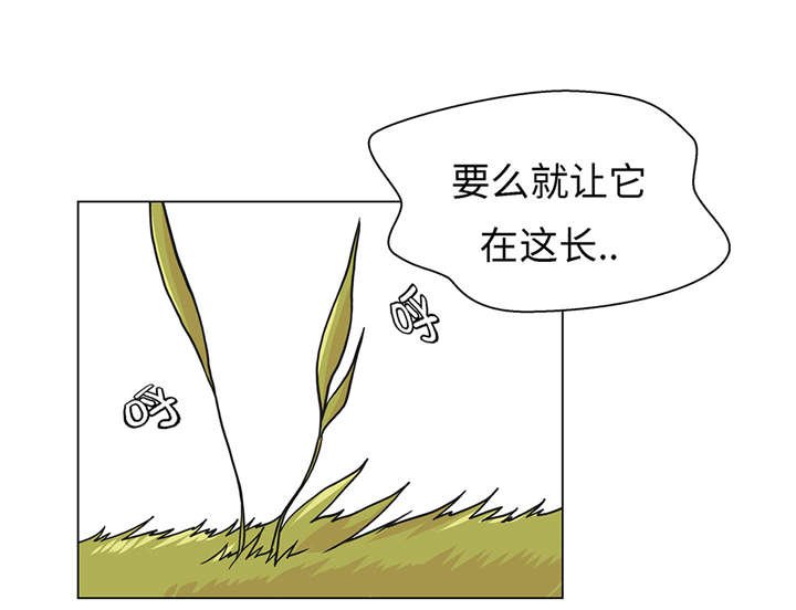 第24章：奇怪的感觉
