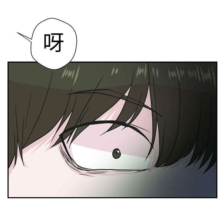 第27章：芭蕾舞演员