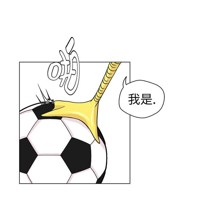 第28章：他没有发现
