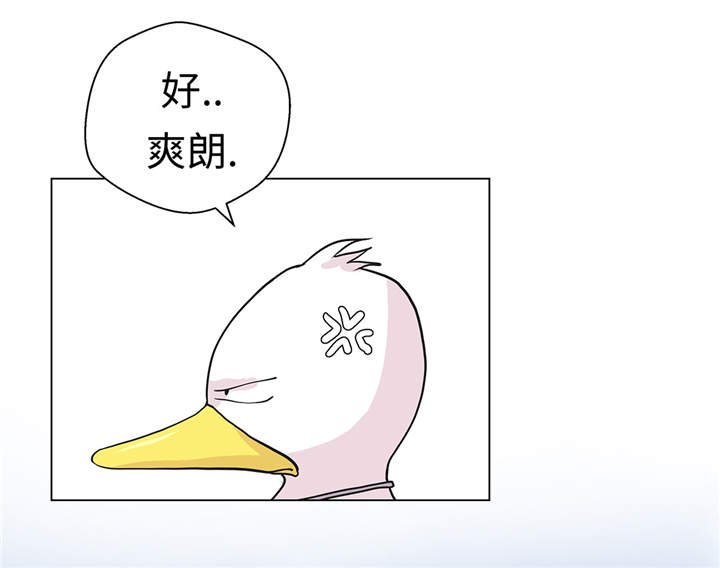 第28章：他没有发现