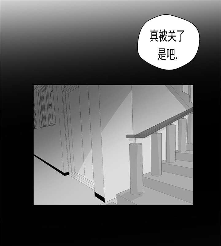 第31章： 只为见到你