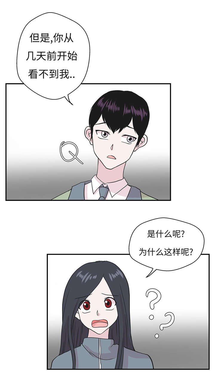 第31章： 只为见到你