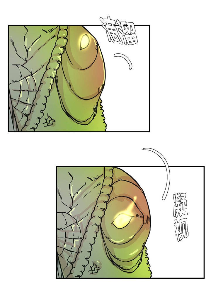第32章：我不是故意的