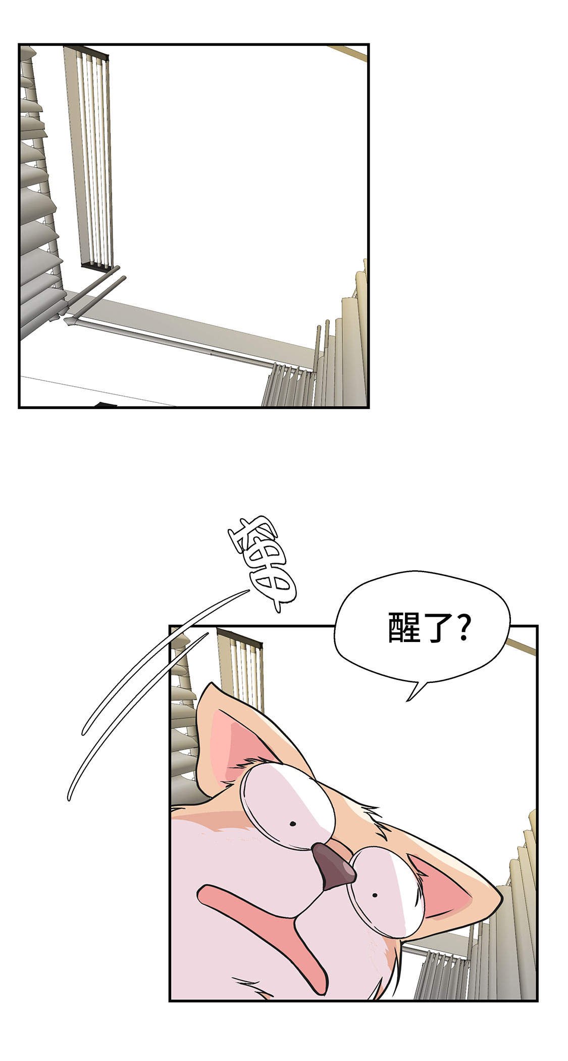 第35章：莱昂受伤