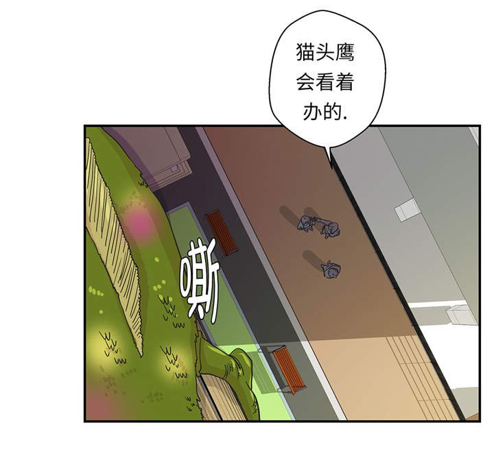 第36章：是龙