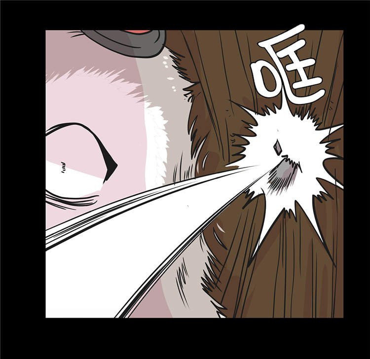 第39章：未来职业