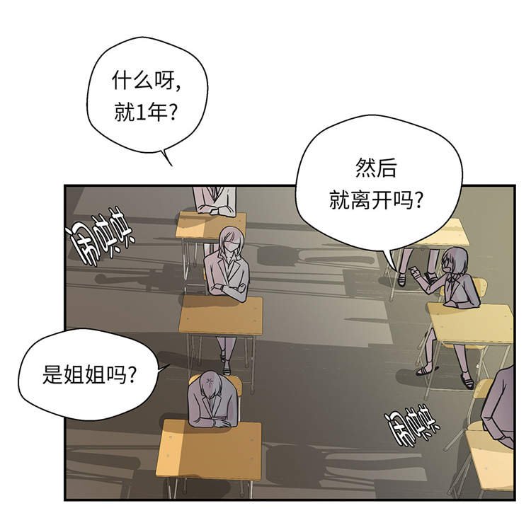第39章：未来职业