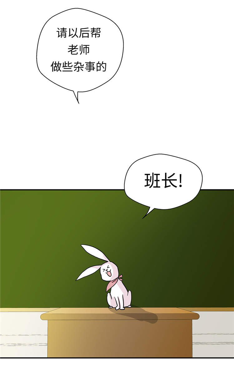 第39章：未来职业
