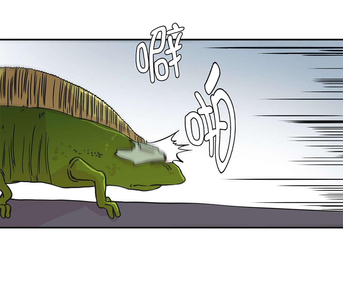 第42章：坚持住