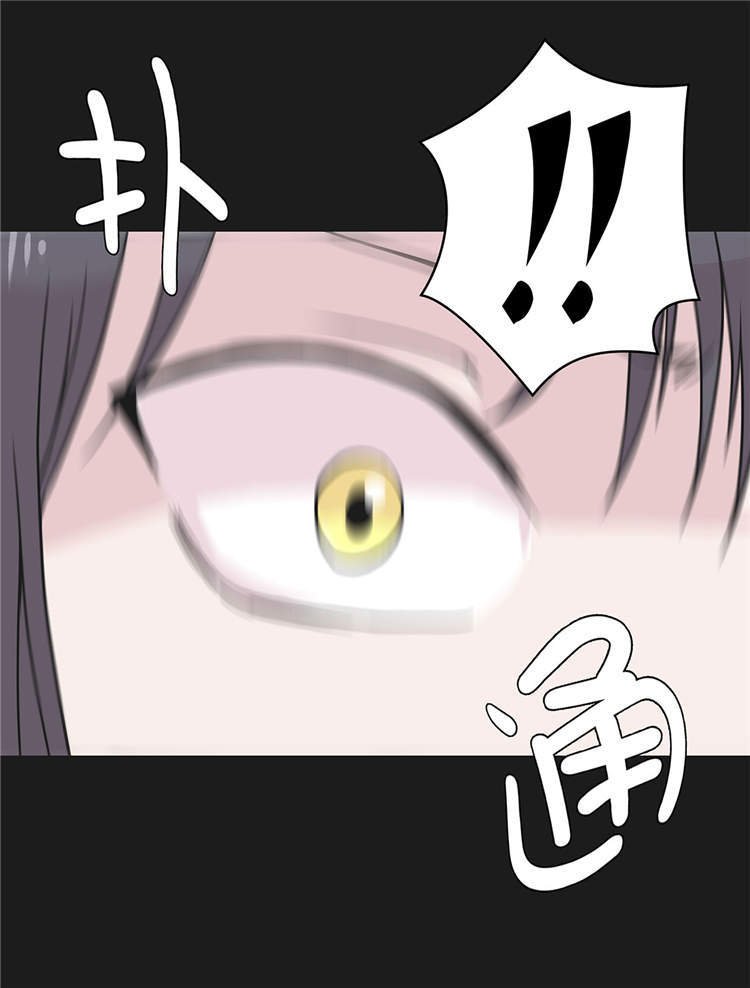 第44章：昏迷