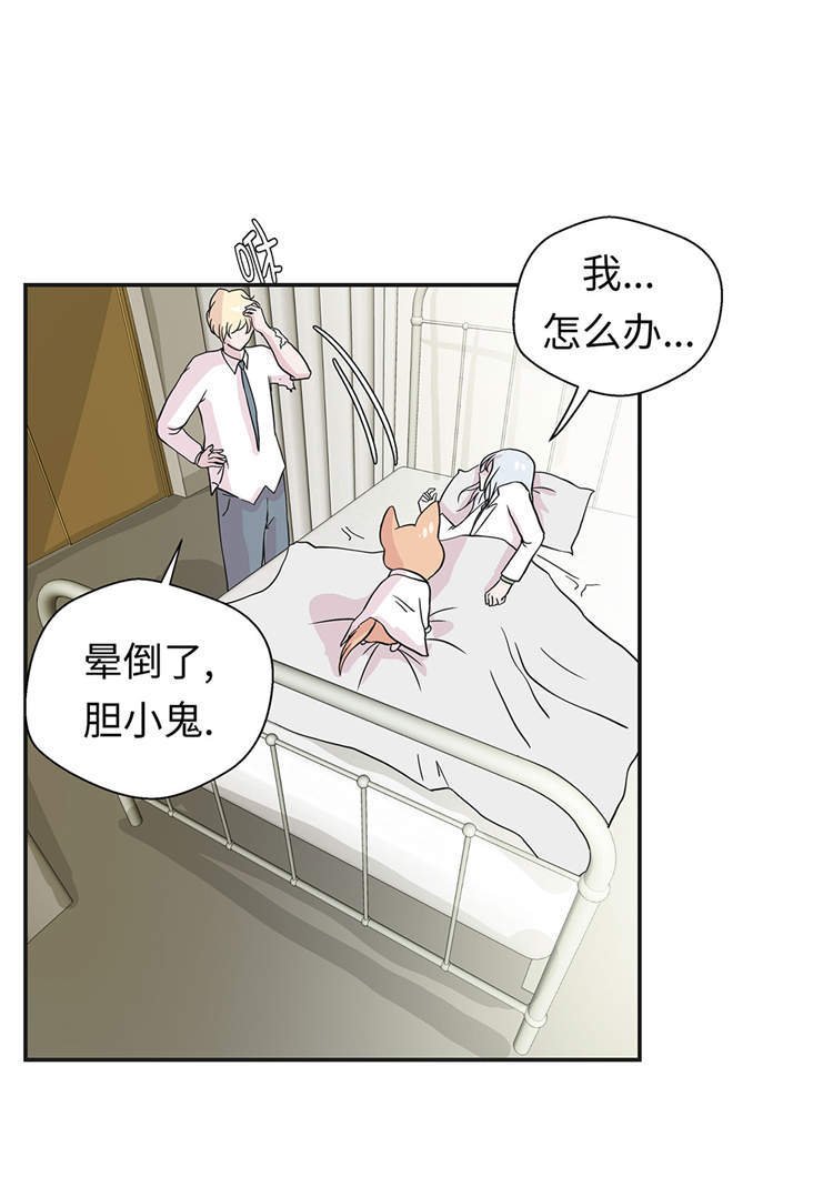 第44章：昏迷