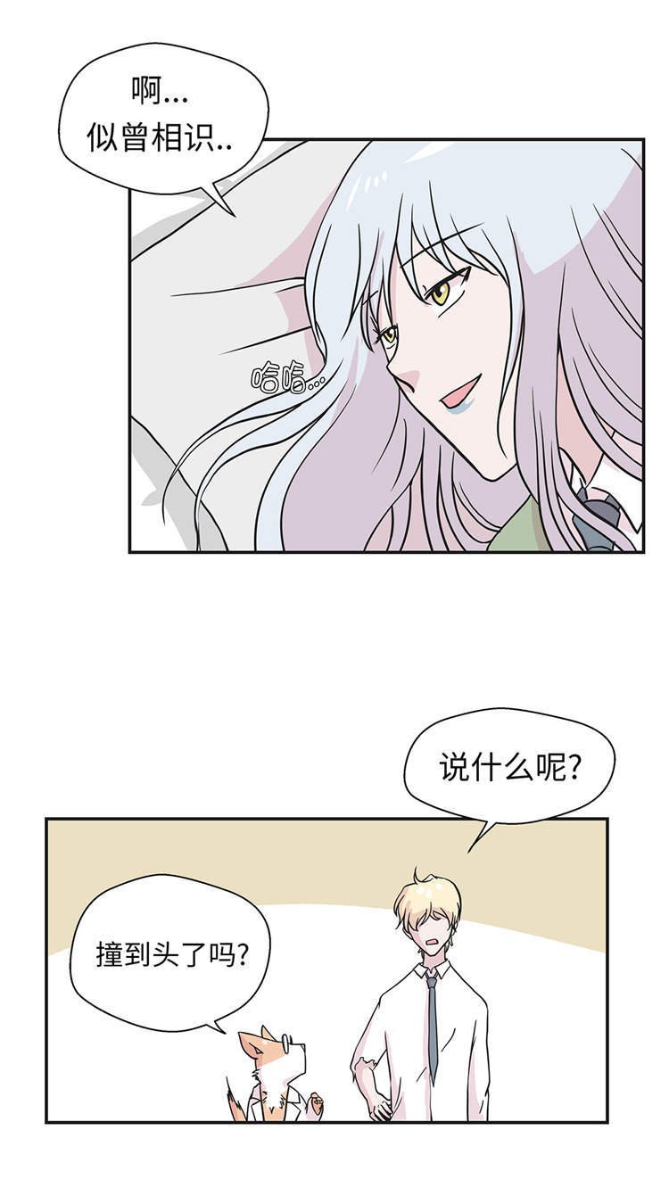 第44章：昏迷