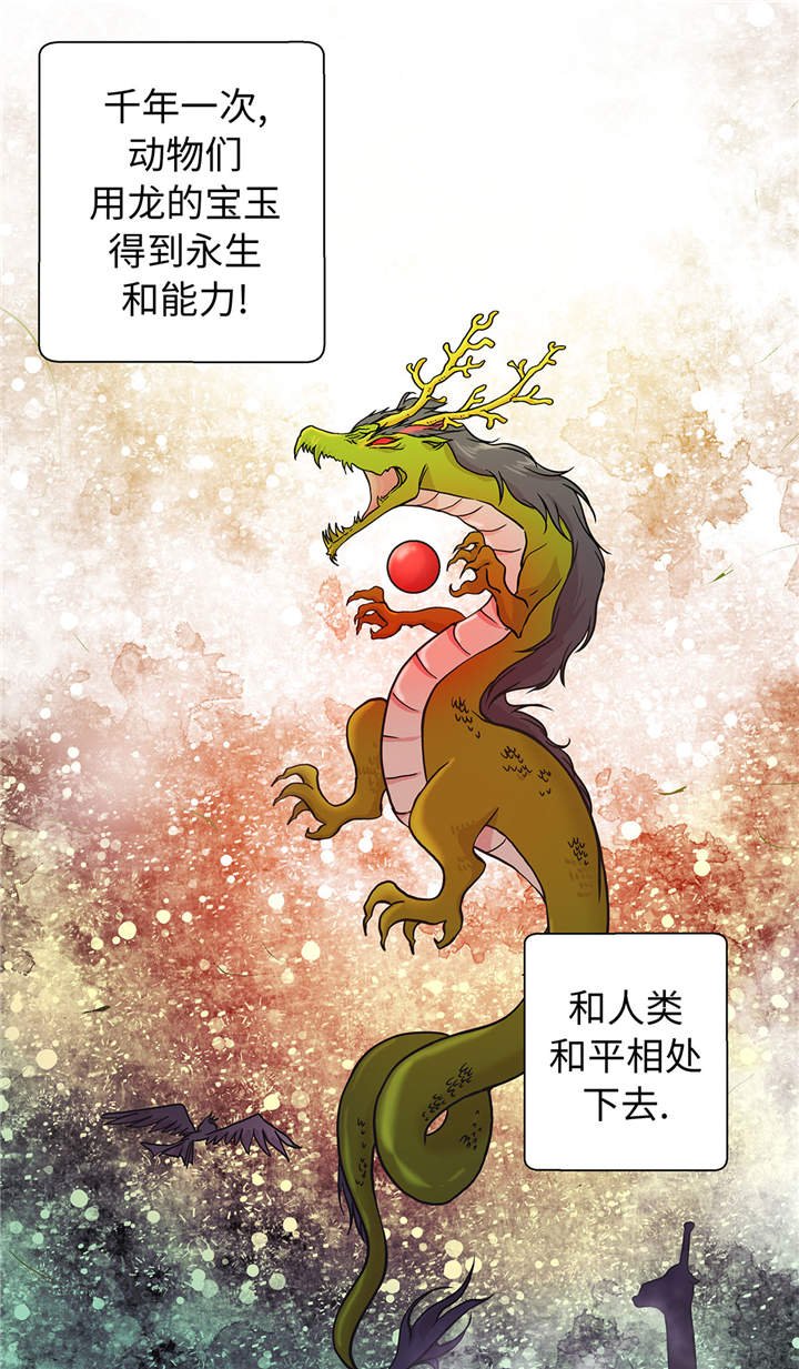 第49章：传说中的龙