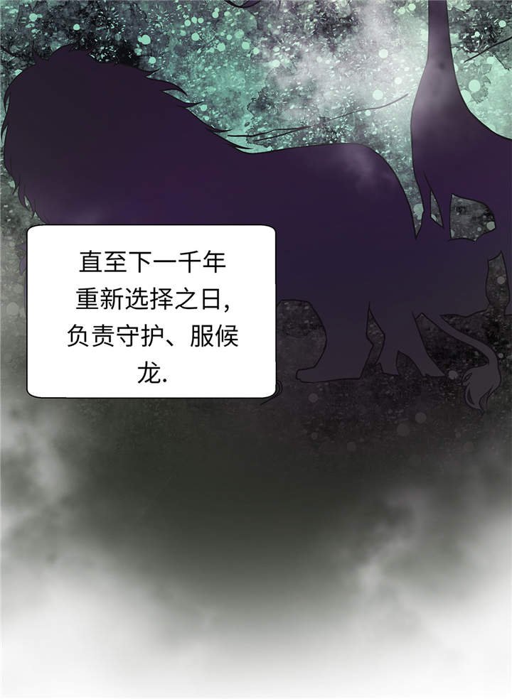 第49章：传说中的龙
