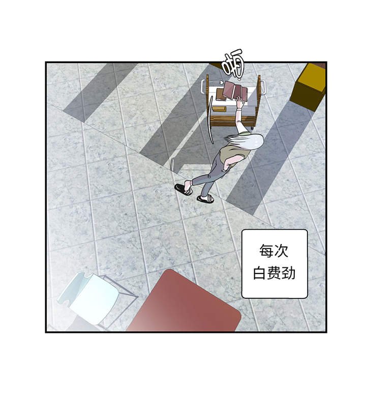 第49章：传说中的龙