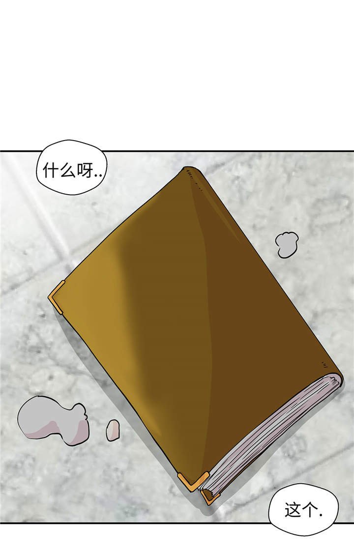 第49章：传说中的龙