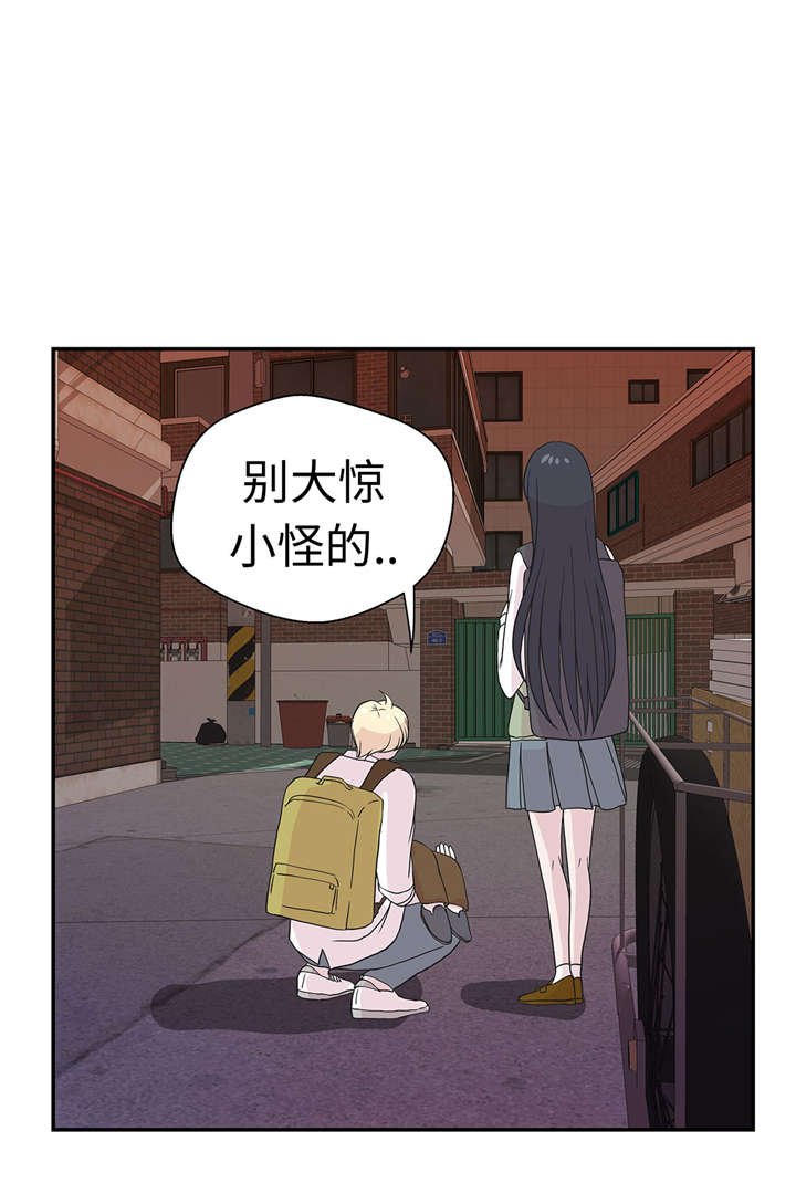 第52章： 被杀之前